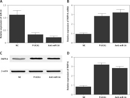 https://www.archivesofmedicalscience.com/f/fulltexts/111375/AMS-20-5-111375-g005_min.jpg