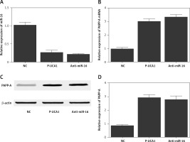 https://www.archivesofmedicalscience.com/f/fulltexts/111375/AMS-20-5-111375-g006_min.jpg