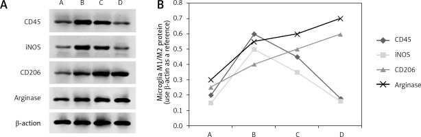 https://www.archivesofmedicalscience.com/f/fulltexts/116550/AMS-20-4-116550-g002_min.jpg