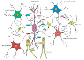 https://www.archivesofmedicalscience.com/f/fulltexts/121051/AMS-20-3-121051-g001_min.jpg