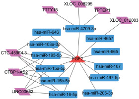 https://www.archivesofmedicalscience.com/f/fulltexts/128387/AMS-20-4-128387-g005_min.jpg