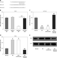 https://www.archivesofmedicalscience.com/f/fulltexts/130649/AMS-20-6-130649-g002_min.jpg