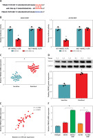 https://www.archivesofmedicalscience.com/f/fulltexts/133038/AMS-20-4-133038-g005_min.jpg