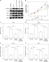 https://www.archivesofmedicalscience.com/f/fulltexts/139235/AMS-20-4-139235-g005_min.jpg