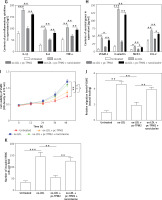 https://www.archivesofmedicalscience.com/f/fulltexts/139235/AMS-20-4-139235-g005a_min.jpg