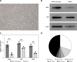 https://www.archivesofmedicalscience.com/f/fulltexts/157032/AMS-20-5-157032-g001_min.jpg