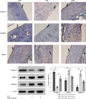 https://www.archivesofmedicalscience.com/f/fulltexts/157032/AMS-20-5-157032-g003_min.jpg