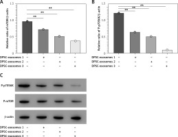 https://www.archivesofmedicalscience.com/f/fulltexts/157032/AMS-20-5-157032-g005_min.jpg