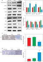 https://www.archivesofmedicalscience.com/f/fulltexts/161444/AMS-20-4-161444-g005a_min.jpg