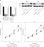 https://www.archivesofmedicalscience.com/f/fulltexts/171672/AMS-20-3-171672-g007a_min.jpg