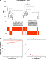 https://www.archivesofmedicalscience.com/f/fulltexts/171785/AMS-20-3-171785-g002_min.jpg