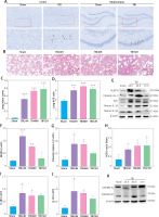 https://www.archivesofmedicalscience.com/f/fulltexts/174264/AMS-20-3-174264-g001_min.jpg