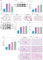 https://www.archivesofmedicalscience.com/f/fulltexts/174264/AMS-20-3-174264-g002_min.jpg