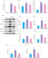 https://www.archivesofmedicalscience.com/f/fulltexts/174264/AMS-20-3-174264-g002a_min.jpg