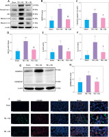 https://www.archivesofmedicalscience.com/f/fulltexts/174264/AMS-20-3-174264-g003_min.jpg