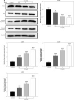 https://www.archivesofmedicalscience.com/f/fulltexts/174578/AMS-20-3-174578-g001c_min.jpg