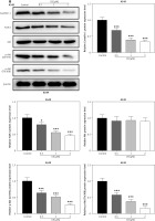 https://www.archivesofmedicalscience.com/f/fulltexts/174578/AMS-20-3-174578-g003a_min.jpg