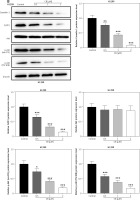 https://www.archivesofmedicalscience.com/f/fulltexts/174578/AMS-20-3-174578-g003b_min.jpg