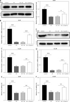 https://www.archivesofmedicalscience.com/f/fulltexts/174578/AMS-20-3-174578-g004_min.jpg