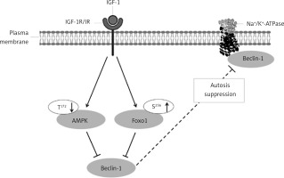 https://www.archivesofmedicalscience.com/f/fulltexts/177618/AMS-20-3-177618-g001_min.jpg