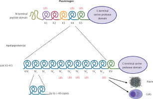 https://www.archivesofmedicalscience.com/f/fulltexts/197357/AMS-20-6-197357-g001_min.jpg